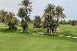 original DJE-Golf