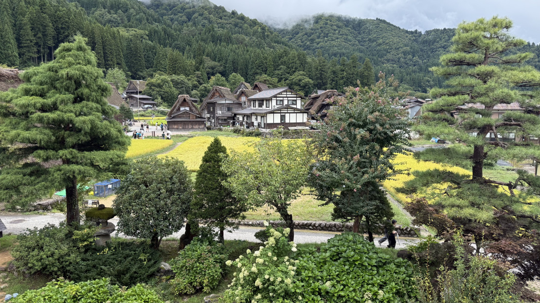 original IMG 0713
