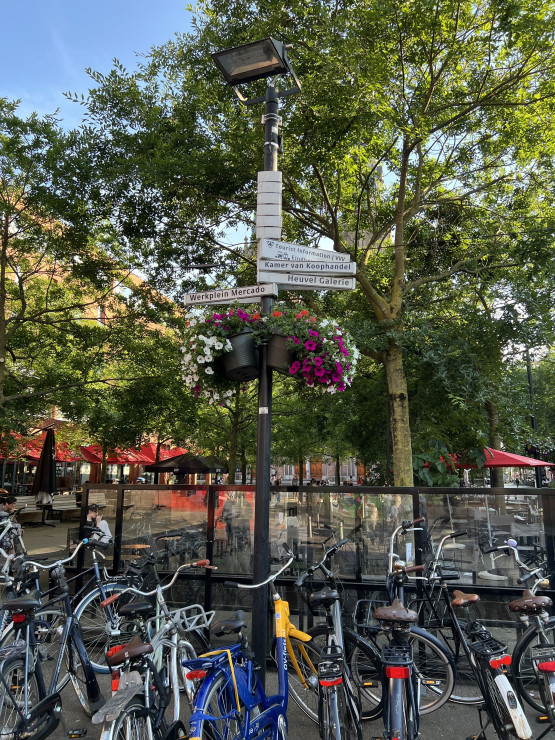 original 20 Impressionen Eindhoven