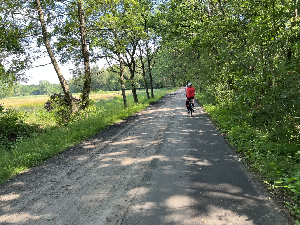 original 51 Radwege in Brabant