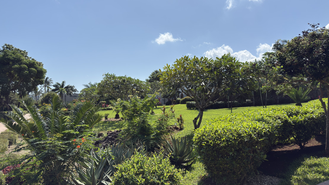 original 09- RIU Palace Zanzibar