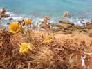 original IMG-20180530-WA0149 original IMG-20180530-WA0149