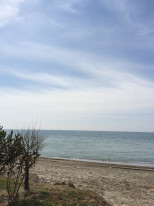 original IMG 1562