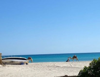 original DJE-Strand3