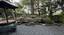 original IMG 0606