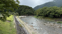 original IMG 0702