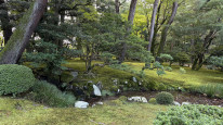 original IMG 0754