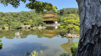 original IMG 0807