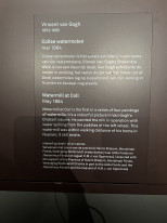 original 77 Van Gogh Collse Watermelon