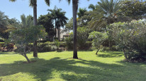 original 12- RIU Palace Zanzibar