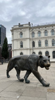 original 059 Oslo Tiger