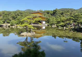 Bild Japan- das Land der aufgehenden Sonne Reisebericht