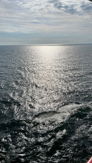 original IMG 3528