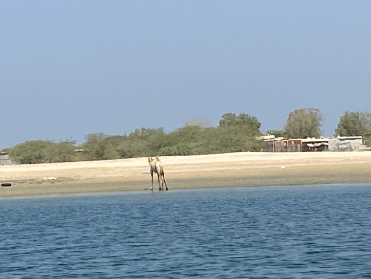 original IMG 0655