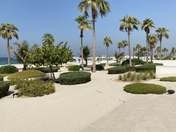 original IMG 0797